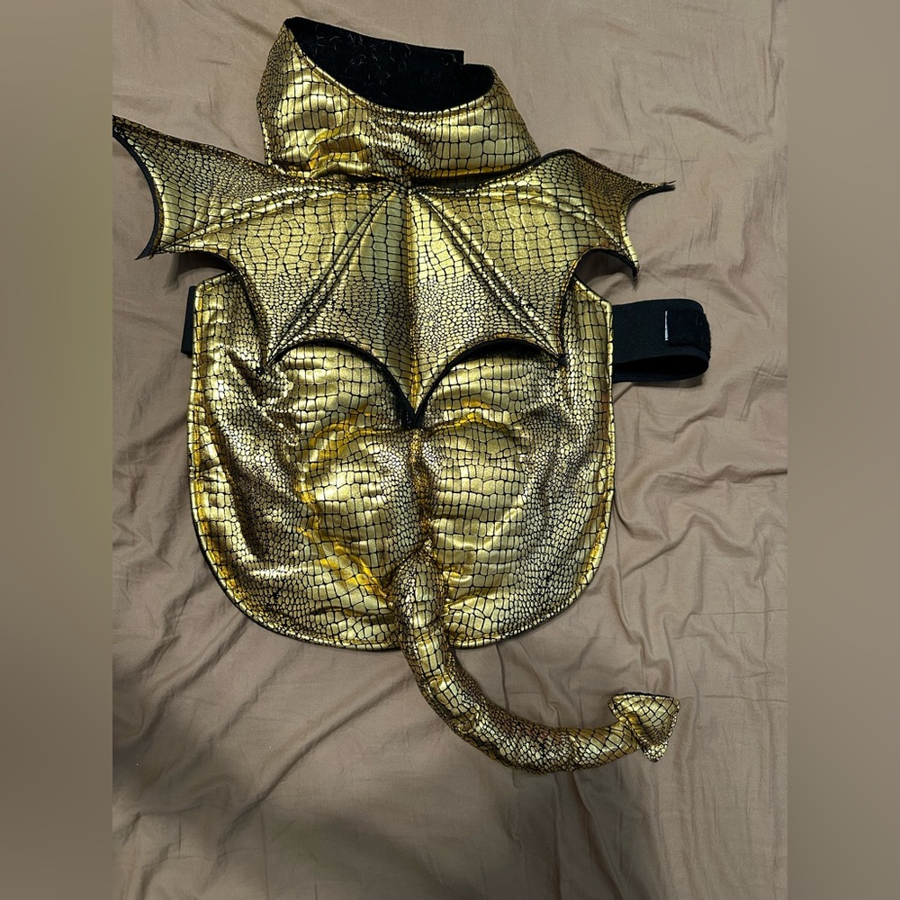 Dog dragon costume(Med)